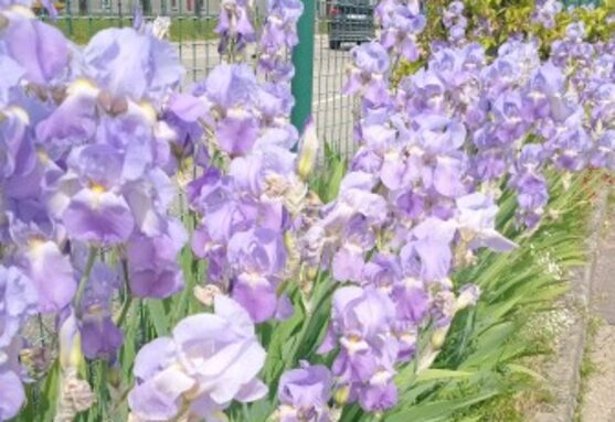 Annotation 2026-04-21 084513.jpg